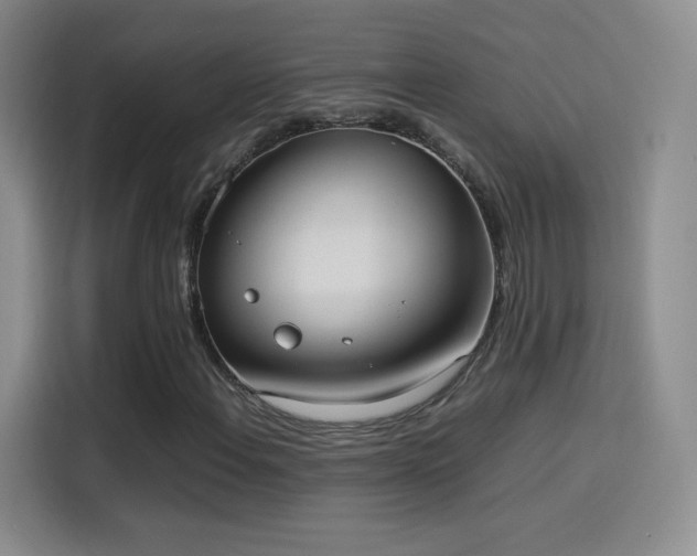 X0000114111108200910131337