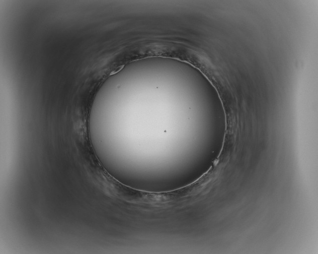 X0000114111109200910131337