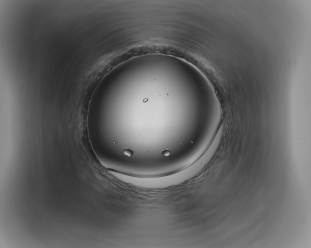 X0000114111110200910131337