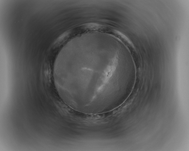 X0000114111111200910131337