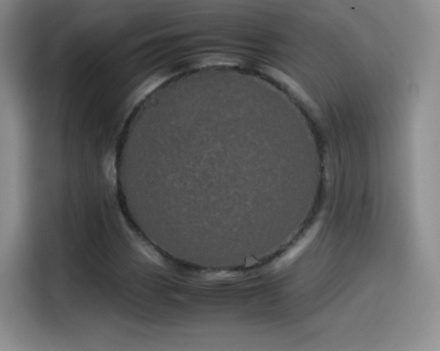 X0000114111113200910131337