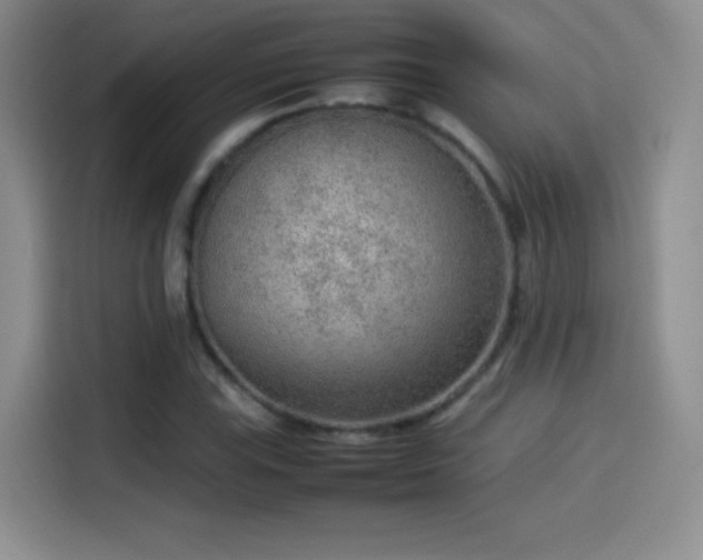 X0000114111115200910131337