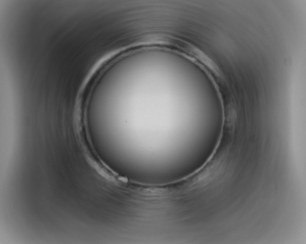 X0000114111116200910131337