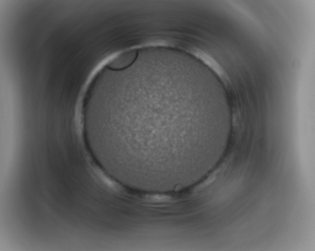 X0000114111119200910131337