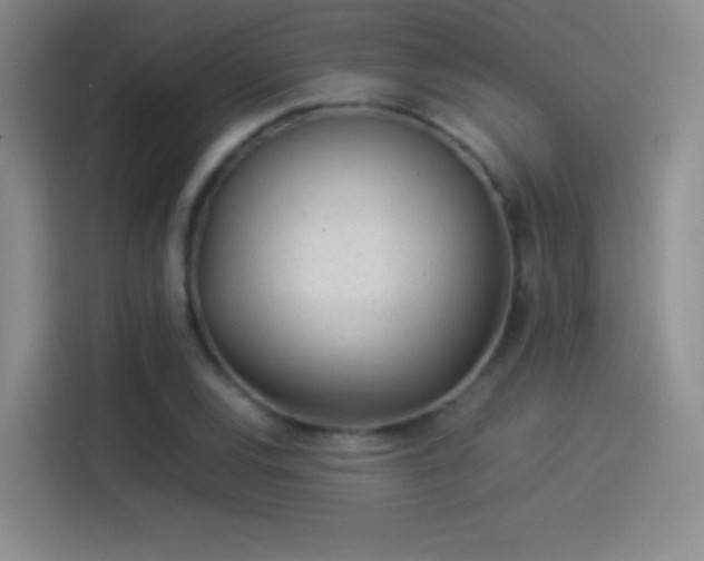 X0000114111120200910131337
