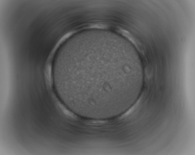 X0000114111123200910131337