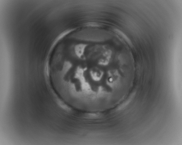 X0000114111125200910131337