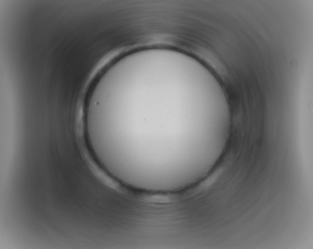 X0000114111126200910131337