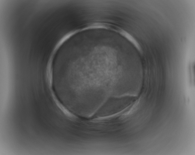 X0000114111127200910131337