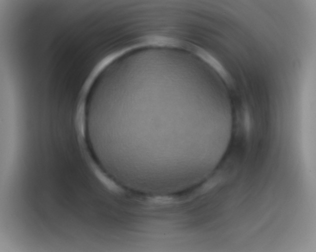 X0000114111128200910131337