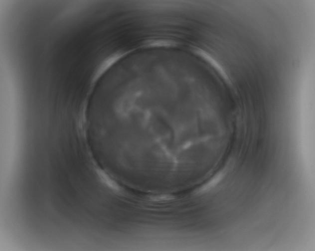X0000114111129200910131337
