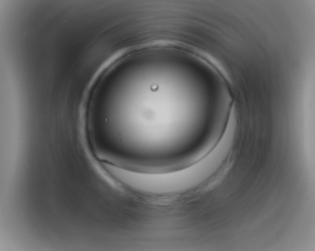 X0000114111134200910131337