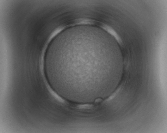X0000114111135200910131337