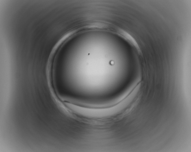 X0000114111138200910131337