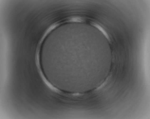 X0000114111139200910131337