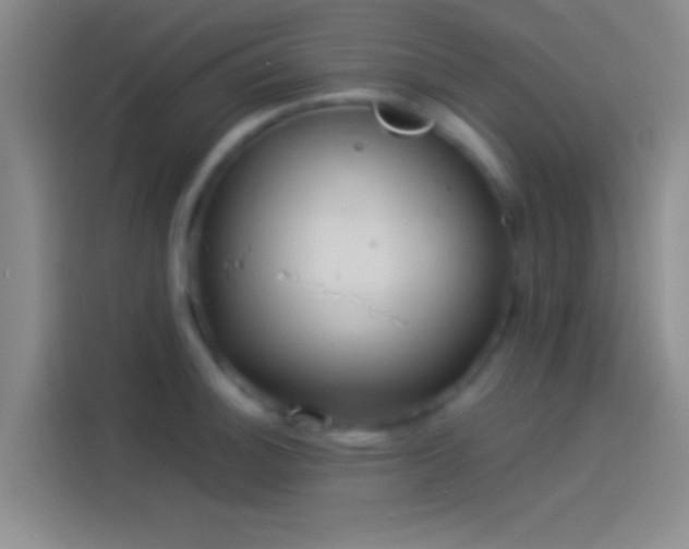 X0000114111140200910131337
