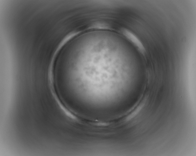 X0000114111141200910131337