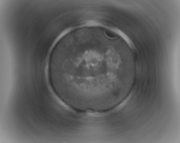 X0000114111142200910131337