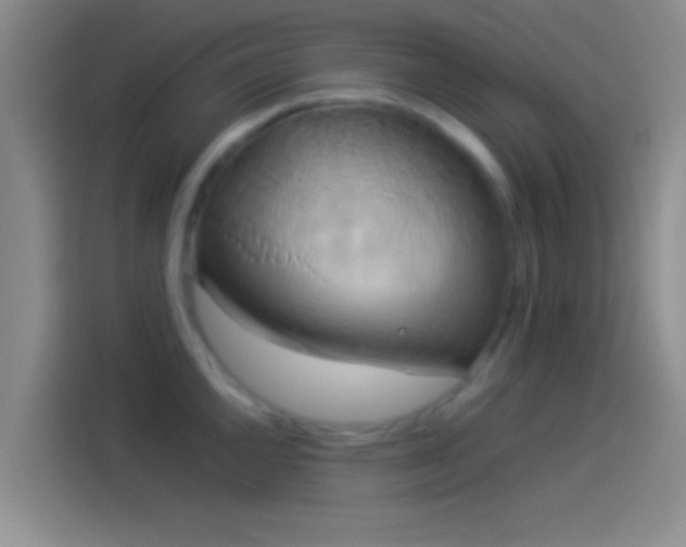 X0000114111144200910131337