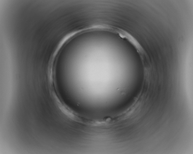 X0000114111148200910131337