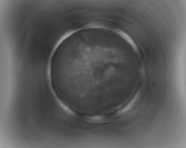 X0000114111149200910131337