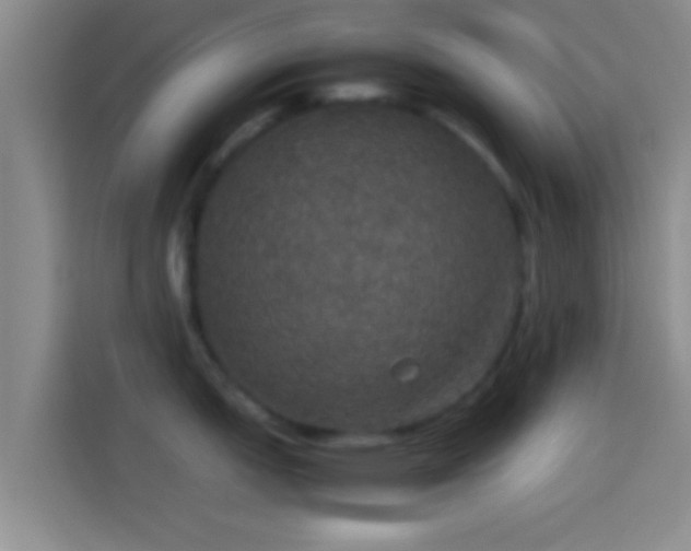 X0000114111151200910131337