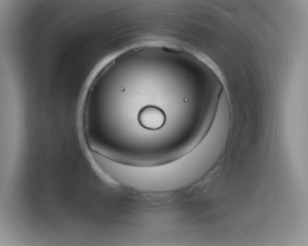 X0000114111152200910131337