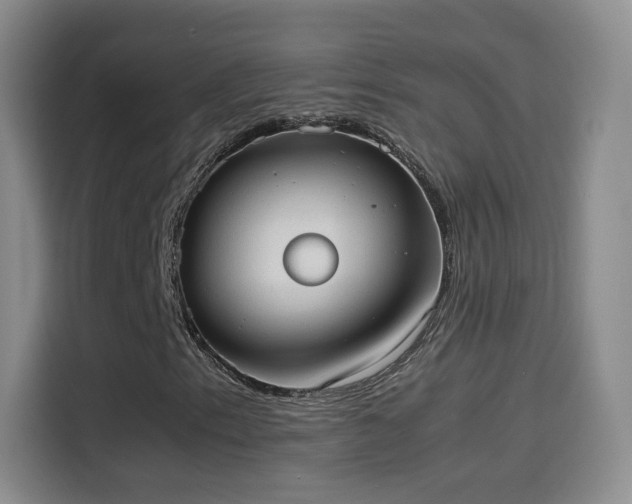 X0000114111153200910131337