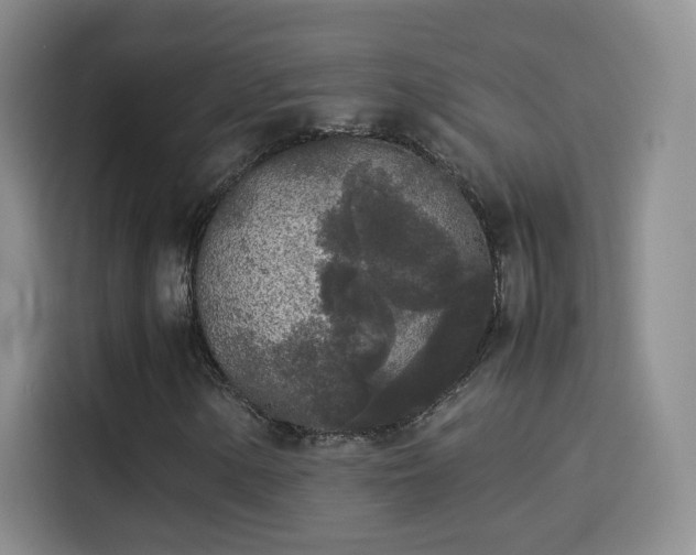 X0000114111154200910131337