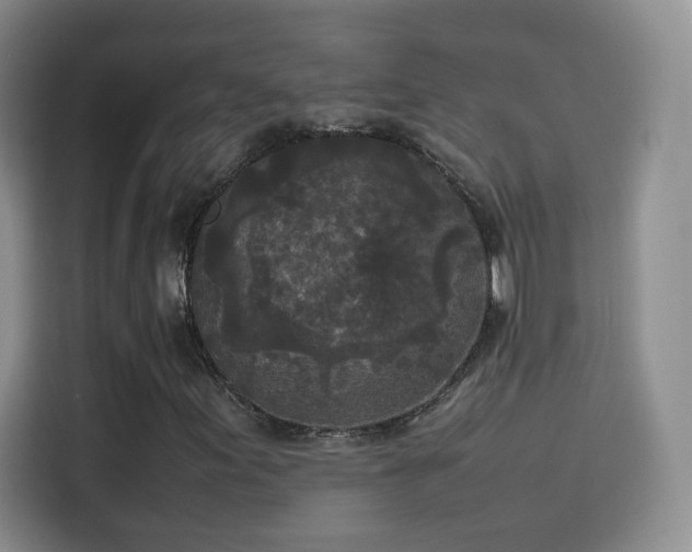 X0000114111155200910131337