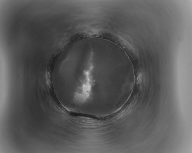 X0000114111156200910131337