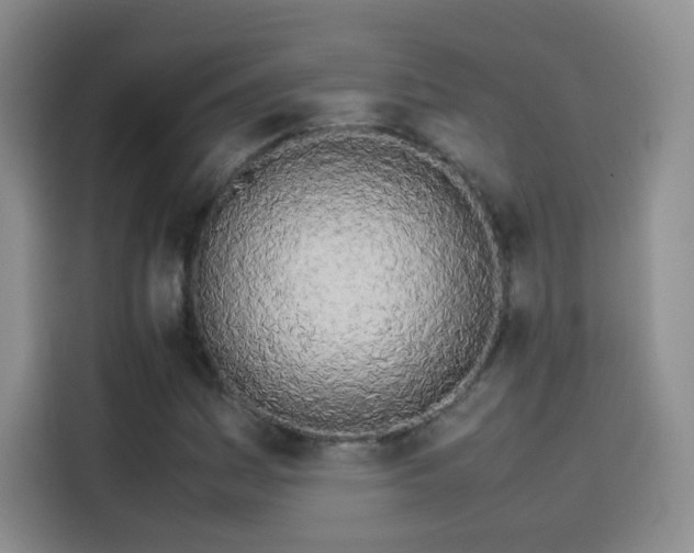 X0000114111161200910131337