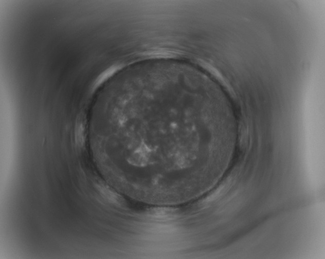 X0000114111163200910131337