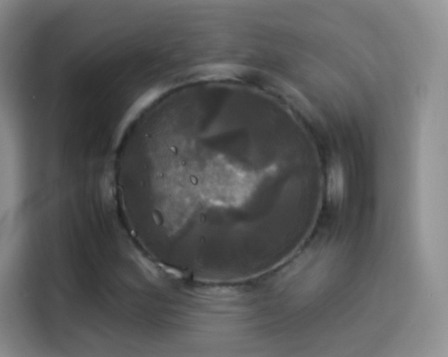 X0000114111164200910131337