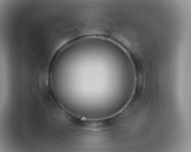 X0000114111165200910131337