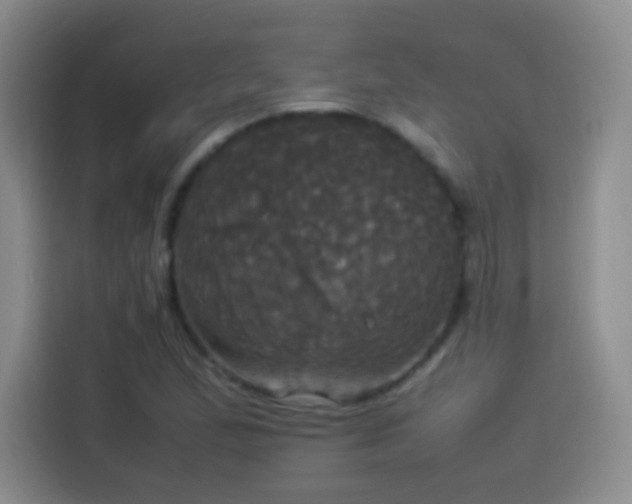 X0000114111167200910131337