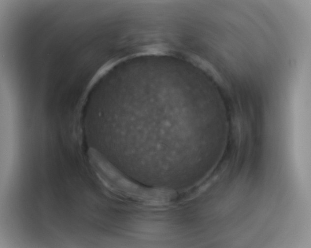 X0000114111168200910131337