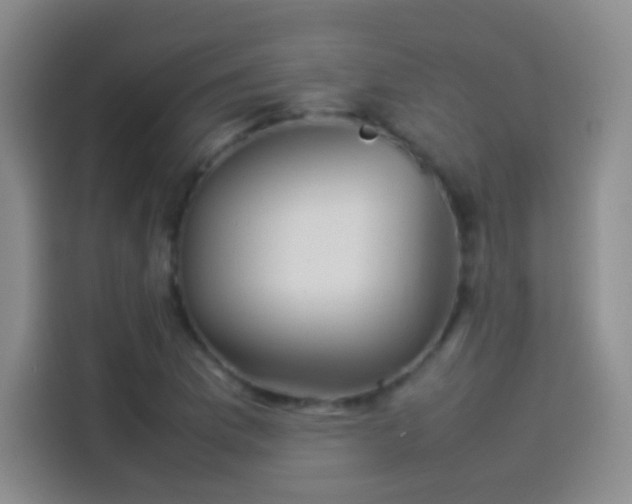 X0000114111169200910131337