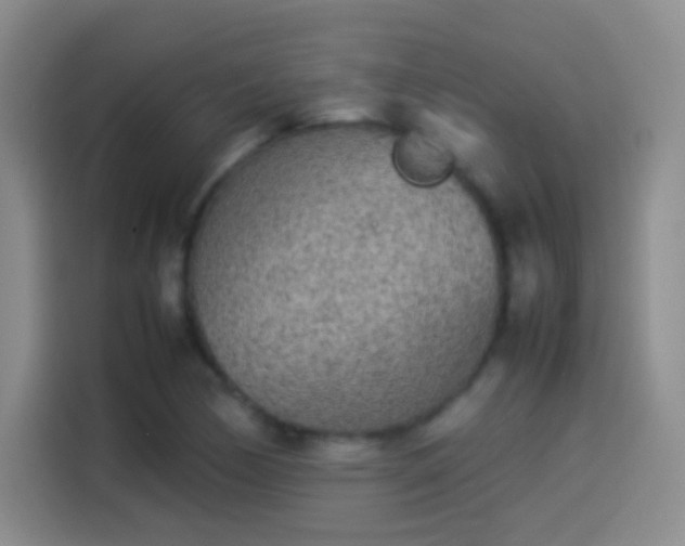 X0000114111170200910131336