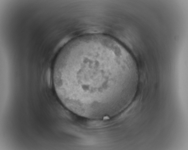 X0000114111171200910131336