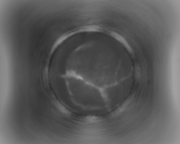 X0000114111176200910131336