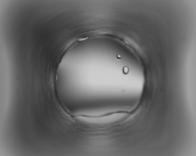 X0000114111177200910131336