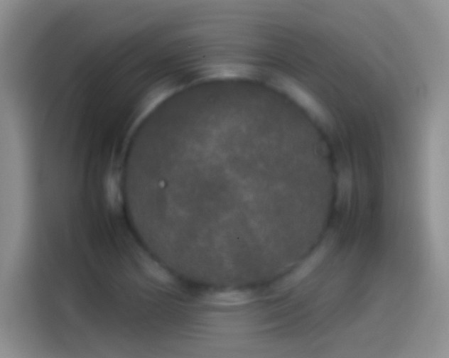 X0000114111178200910131336