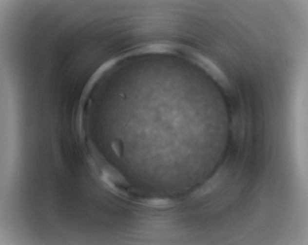 X0000114111180200910131336
