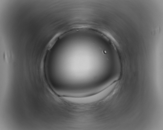 X0000114111181200910131336