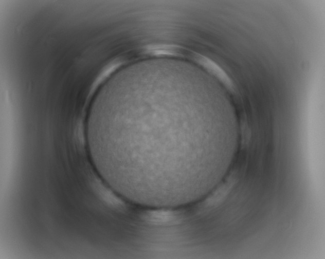 X0000114111182200910131336