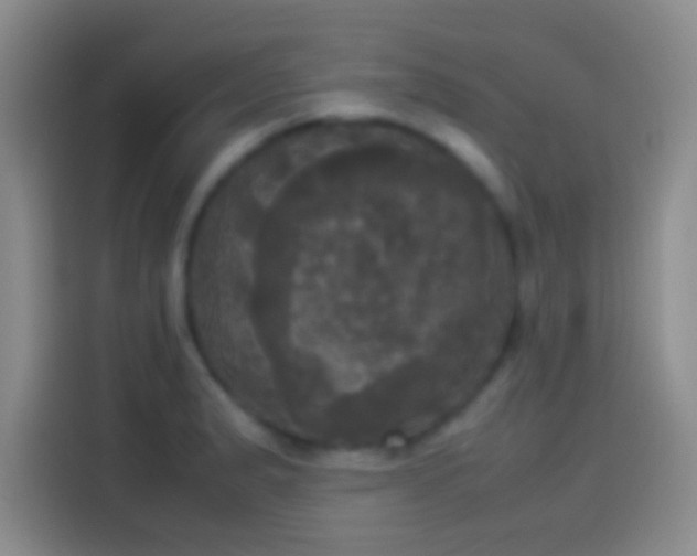 X0000114111183200910131336