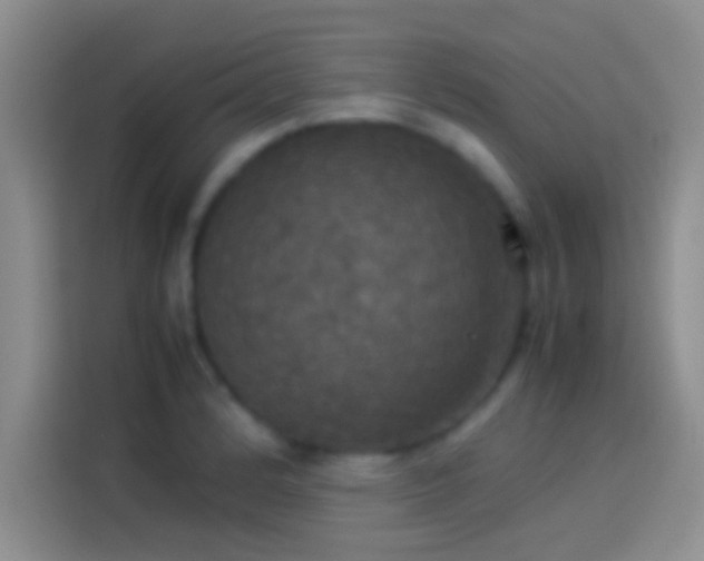 X0000114111184200910131336