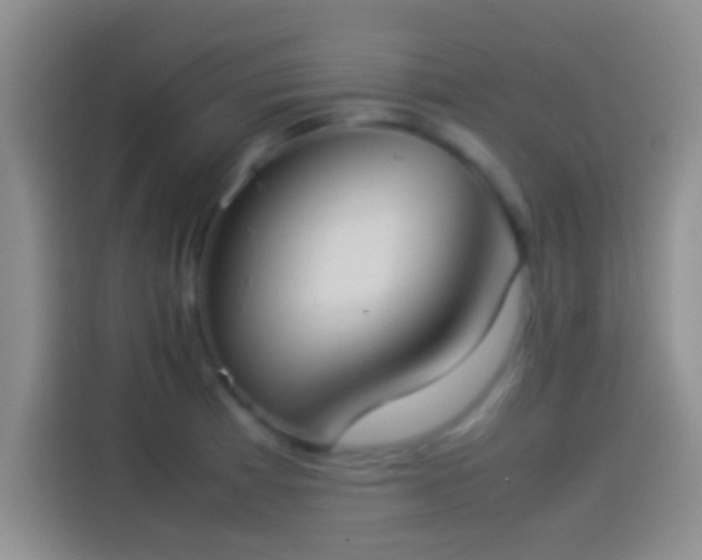 X0000114111185200910131336