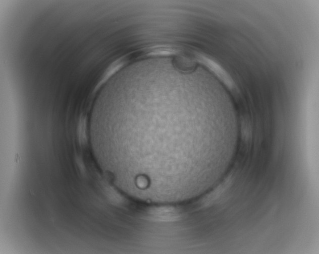 X0000114111186200910131336